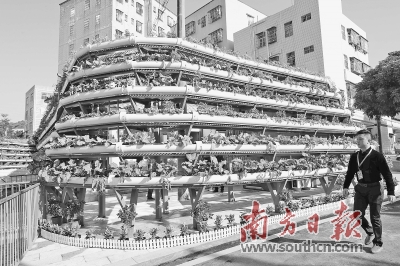 策展团队设计的“垂直农场”，包围着公厕、垃圾站等设施，成为老村新景观。