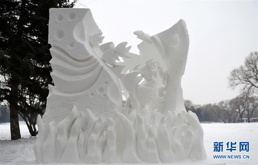 （文化）（1）全国大学生雪雕比赛落幕